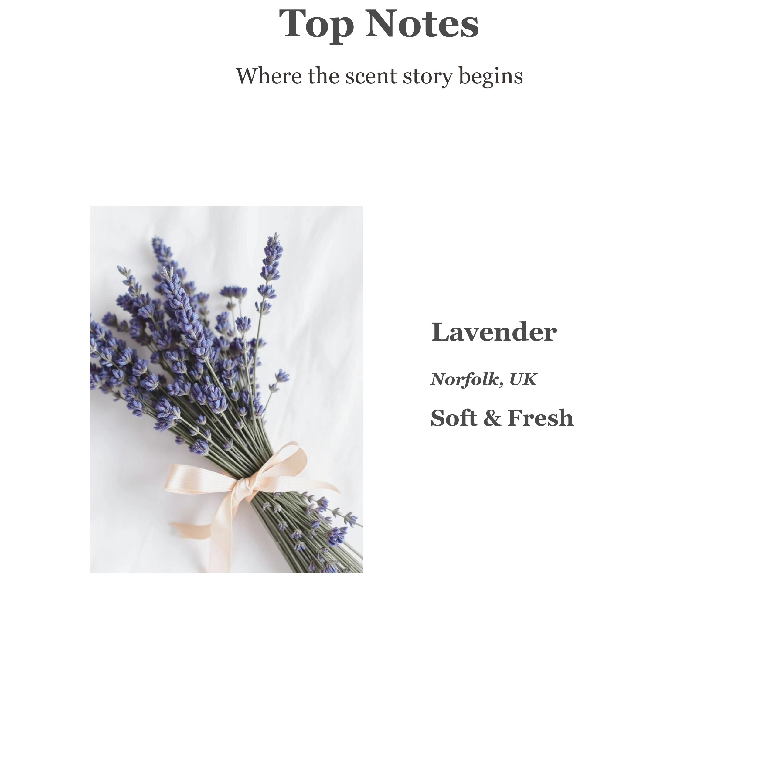 Dream Calming & Relaxing Perfume Room Spray