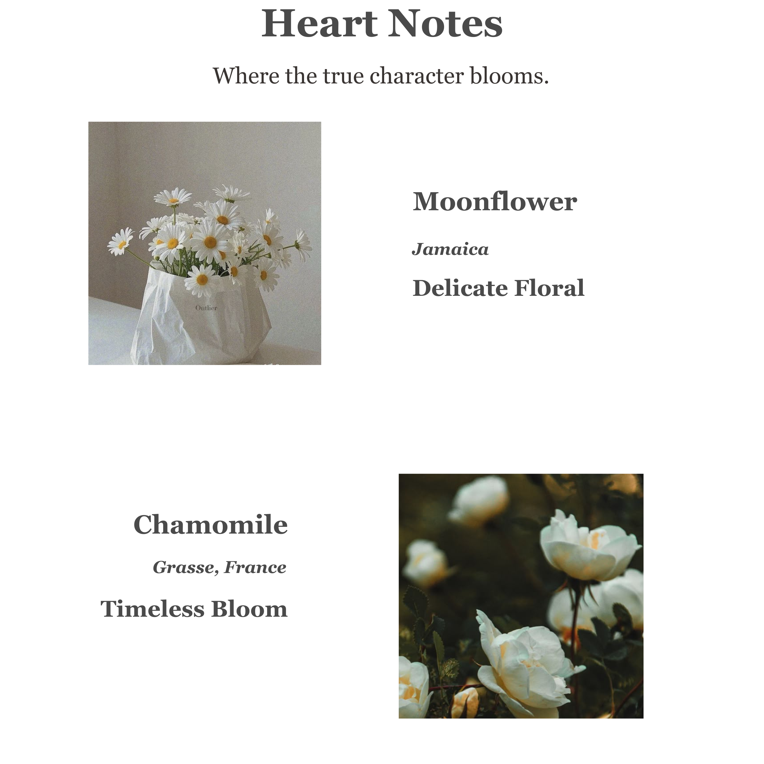 Dream Calming & Relaxing Perfume Room Spray