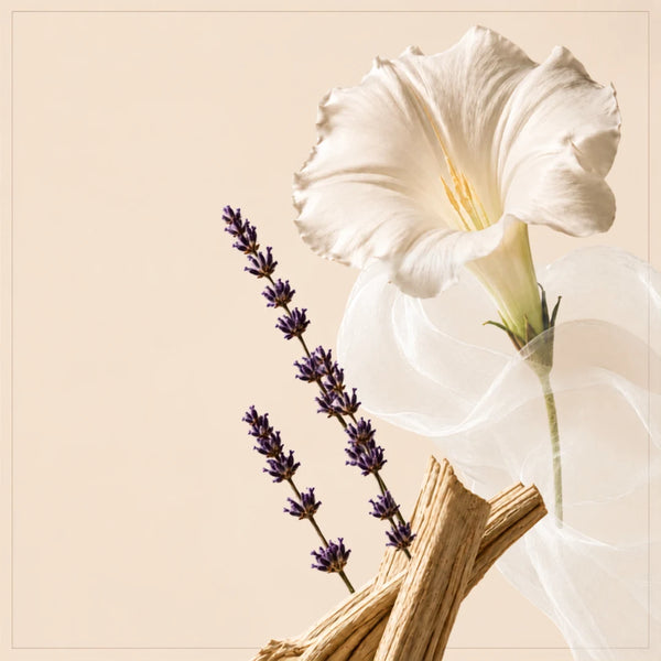 Lavender · Moonflower · Patchouli