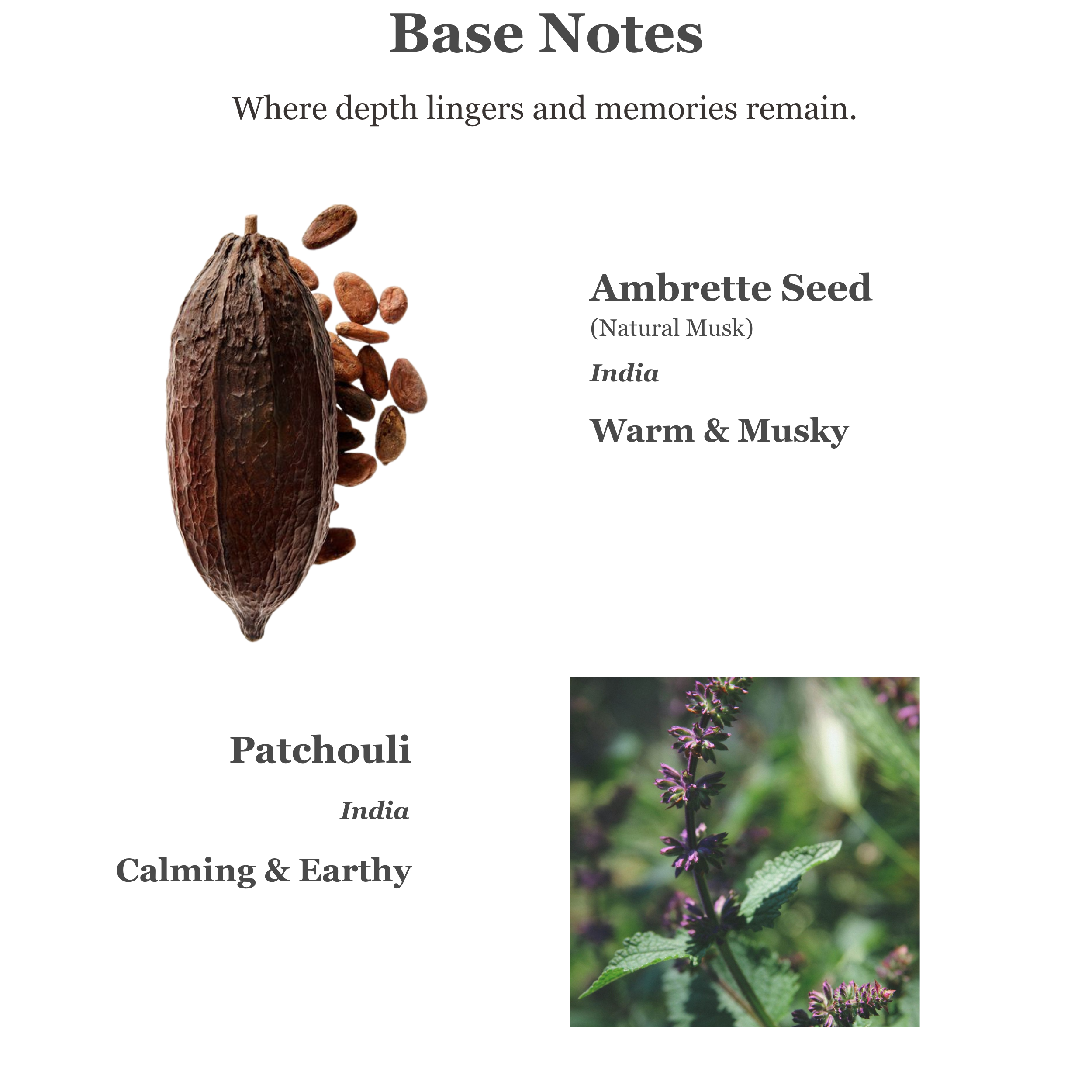 Dream Calming & Relaxing Perfume Room Spray