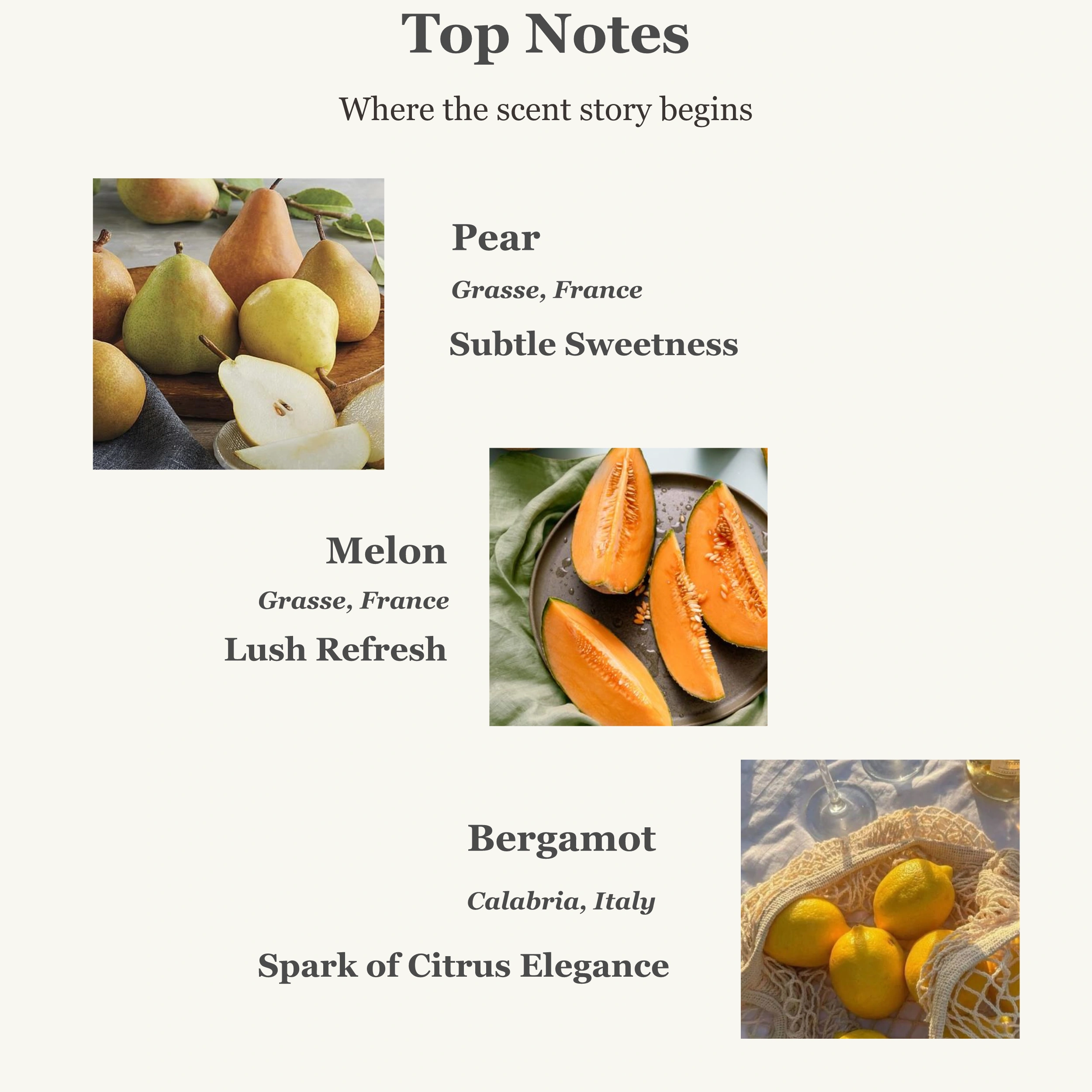 Perfume top notes: pear, melon, and bergamot with sweet, fresh citrus tones.